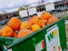More than 100 pumpkins were collected by volunteers for composting on Nov. 4, 2019.