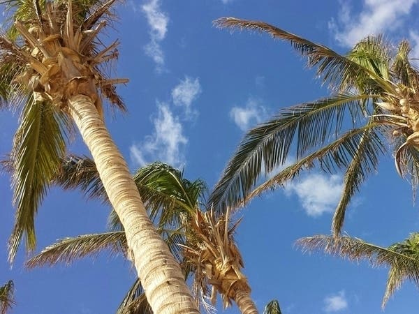 The college is expanding its footprint to serve additional students in both the eastern and western Coachella Valley.