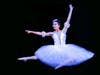 Ariana Mirfakhraie, Dancers