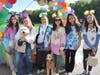 Scenes from the Port Jefferson School District homecoming parade and football game.