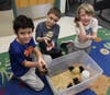 Jacob Sabatino, William Duque, Ryder Fell enjoy spending time with the small feathery visitors.