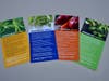Nourishing our community cards