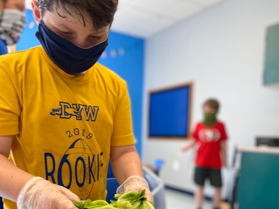 Chesterbrook Academy Donates Produce to Chester County Food Bank | West ...