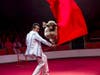 Circus fans of all ages will love the Dominguez Poodles, who have been featured on ‘America’s Got Talent’