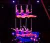 Sailor Circus students perform in sync on the multiple trapeze