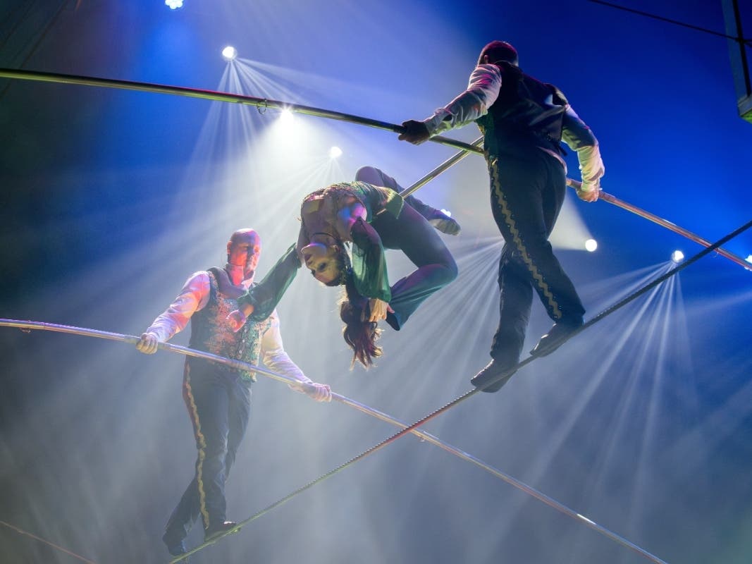 Nik Wallenda’s high wire act is a highlight of ‘A Brave New Wonderland’