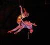 Award-winning Sailor Circus Academy circus artists Anna and Emmi will perform on the trapeze swing