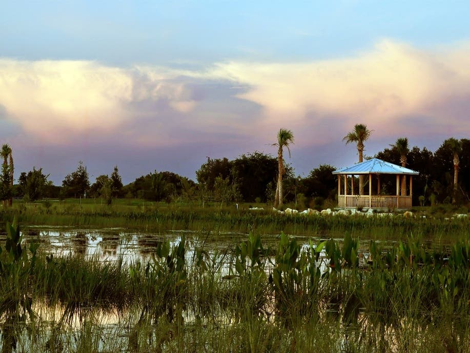 Community members are invited to enjoy a morning in nature, as Big Waters Land Trust and Sarasota Audubon Society celebrate the grand opening of the Southeast Quad adjacent to the Celery Fields on October 24