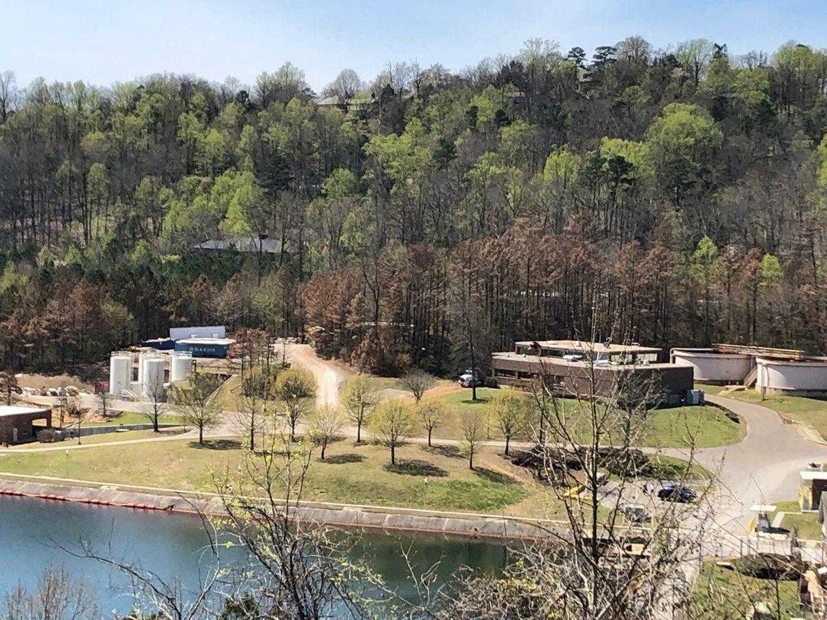Dozens of trees near the Water Works filter plant on US 280 have turned brown after a chemical spill.