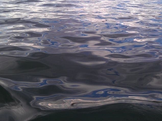 A Birmingham teacher was involved in a boating accident on Smith Lake, and has not been found.