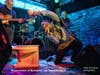 Resurrection of Screamin' Jay Hawkins Band