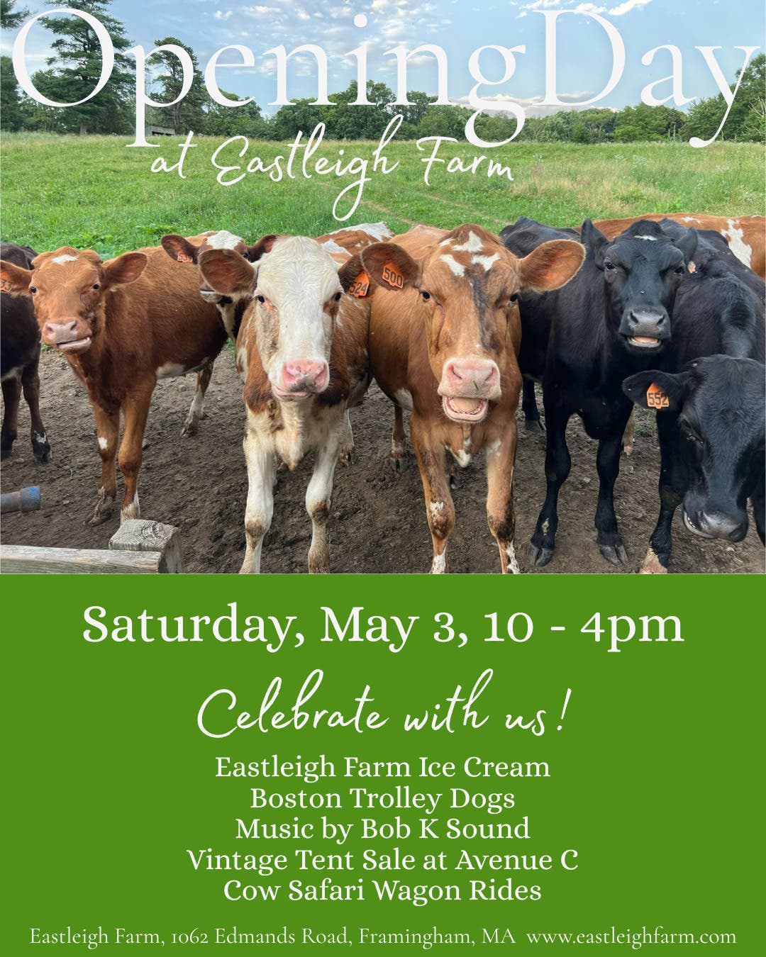 Opening Day at Eastleigh Farm