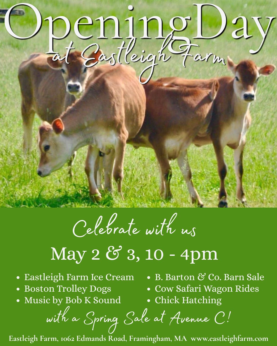 Opening Day at Eastleigh Farm 