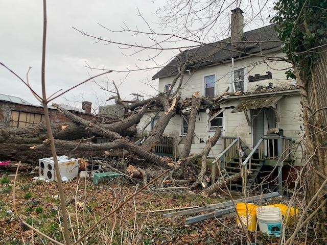 A tree fell and struck a home in New London on Wednesday.