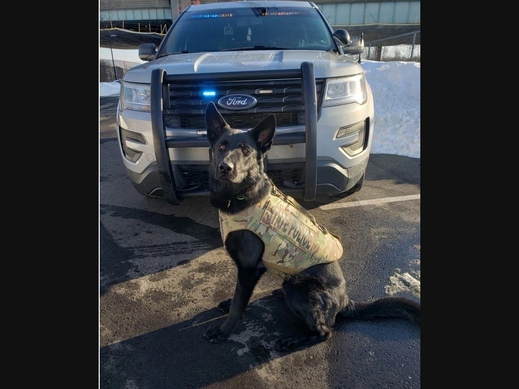 A preliminary report details the death of state police K-9 Broko last week. 