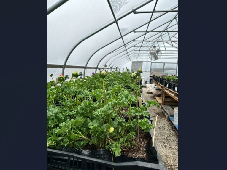 National Floral Supply has relocated to Milford after more than 30 years in Orange.