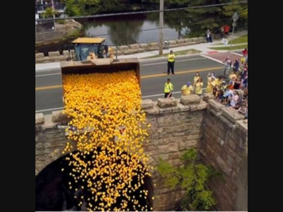 Milford’s Duck Race is back this spring with big prizes and new activities planned along the harbor.