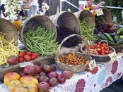 Farmers Market Guide 2026: Where To Go, What To Know In Andover