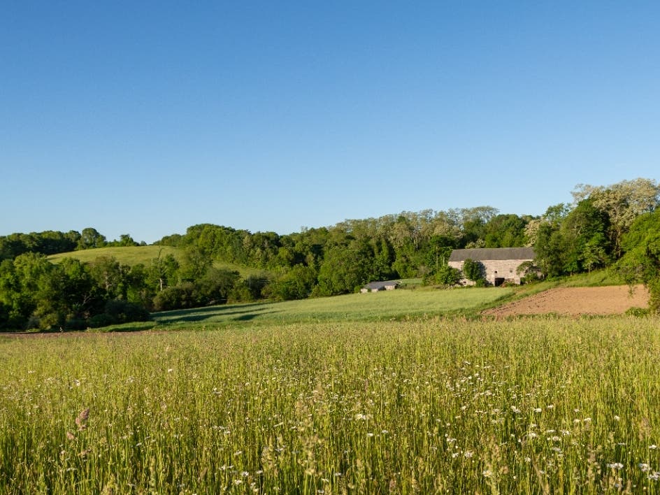 The historic farmland is currently at risk of development, according to a statement. 
