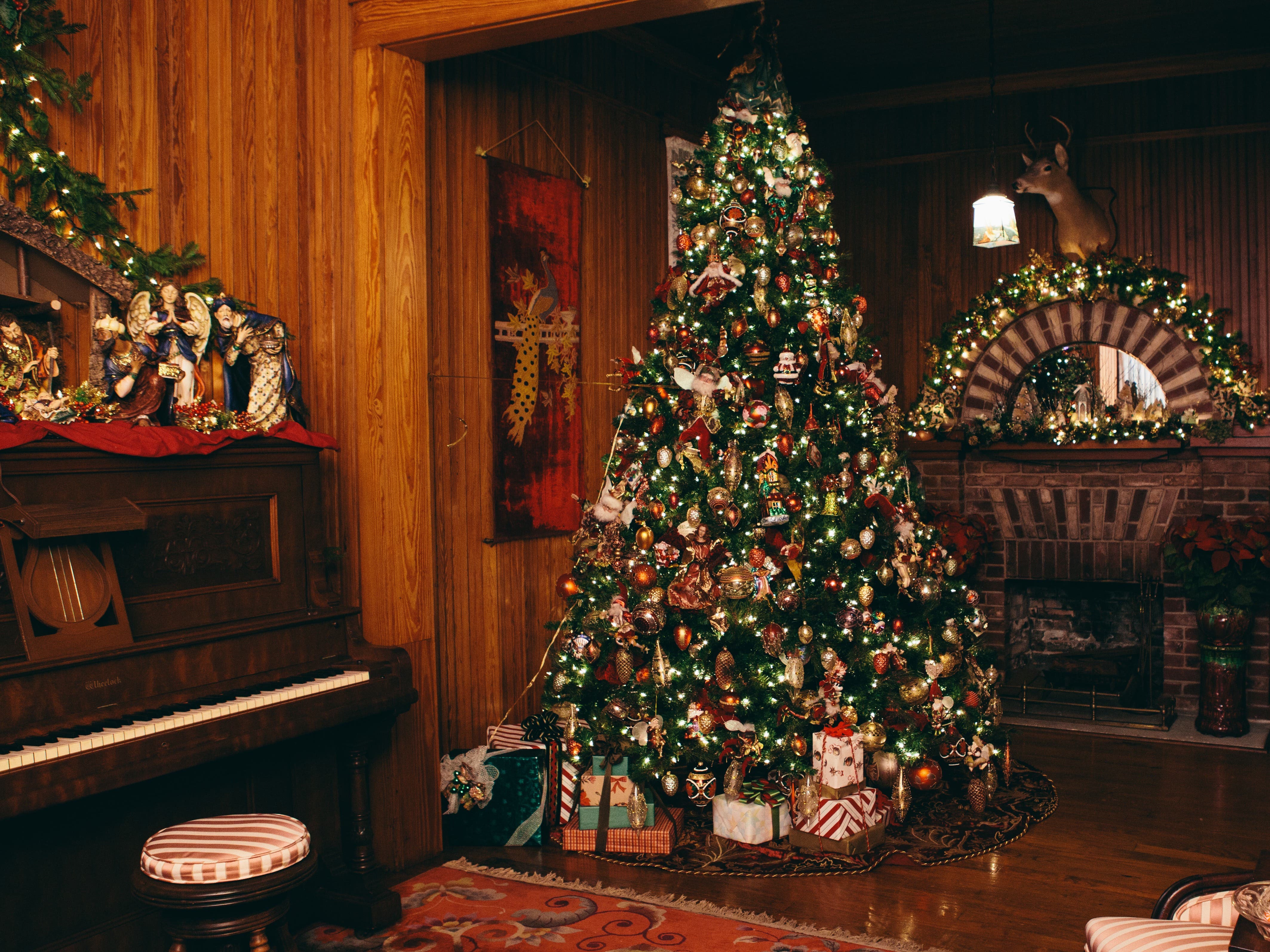 Timeless Traditions: Celebrate the Holidays at the Historic Stranahan House Museum