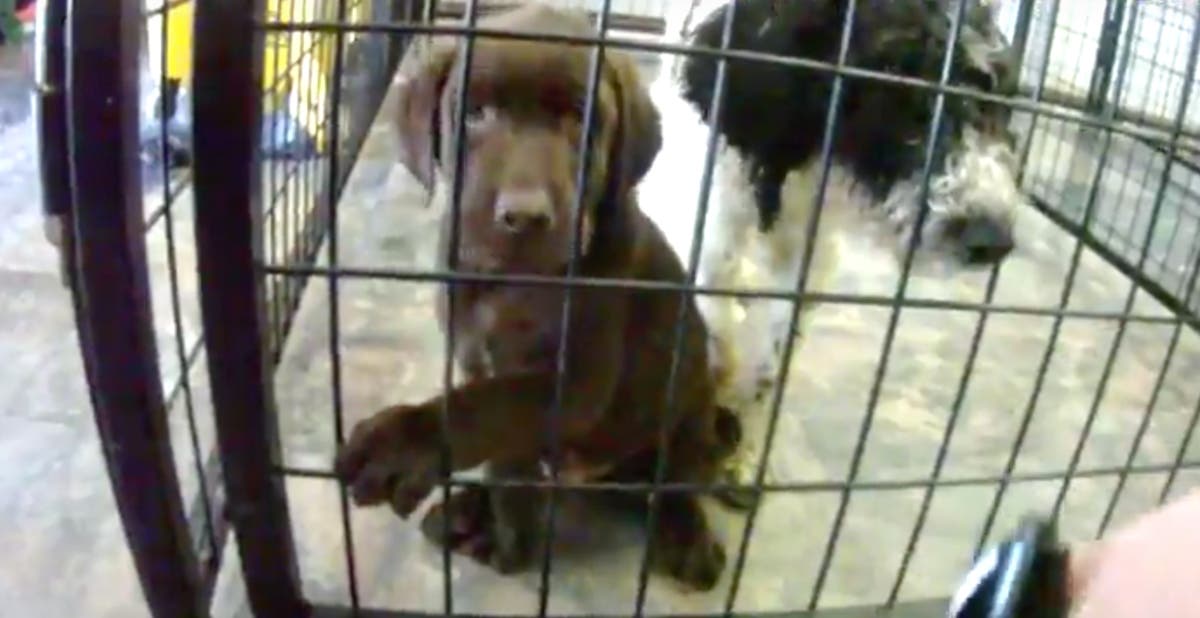  Colorado Dept. of Agriculture