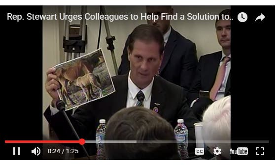 Utah Congressman Chris Stewart urges the culling of wild horse populations by the Bureau of Land Management in 2016.