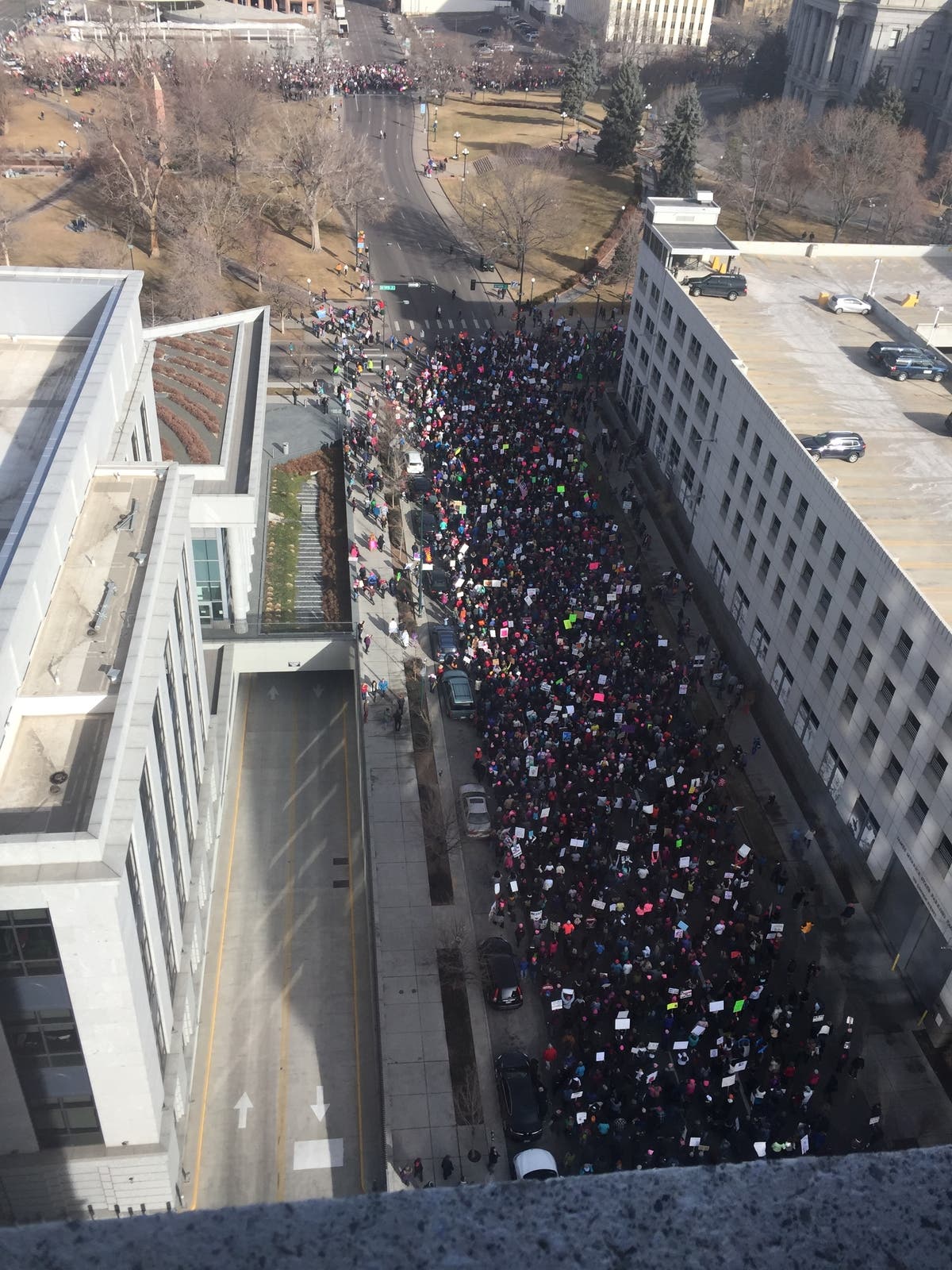 Courtesy Sally Kribs