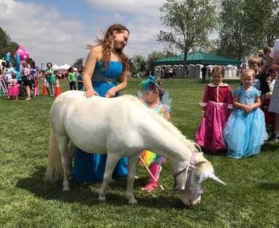 Magic comes alive at the Unicorn Festival in Littleton via Dana Cain