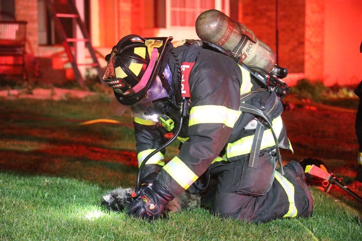 A Littleton firefighter administers first aid to a family pet at a fire in Highlands Ranch early Tuesday morning via Littleton Fire A Littleton firefighter administers first aid to a family pet at a fire in Highlands Ranch early Tuesday morning via Littleton Fire