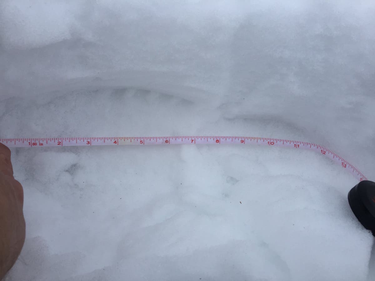 Poaching investigation evidence photo of a footprint in the snow via Colorado Parks and Wildlife Poaching investigation evidence photo of a footprint in the snow via Colorado Parks and Wildlife