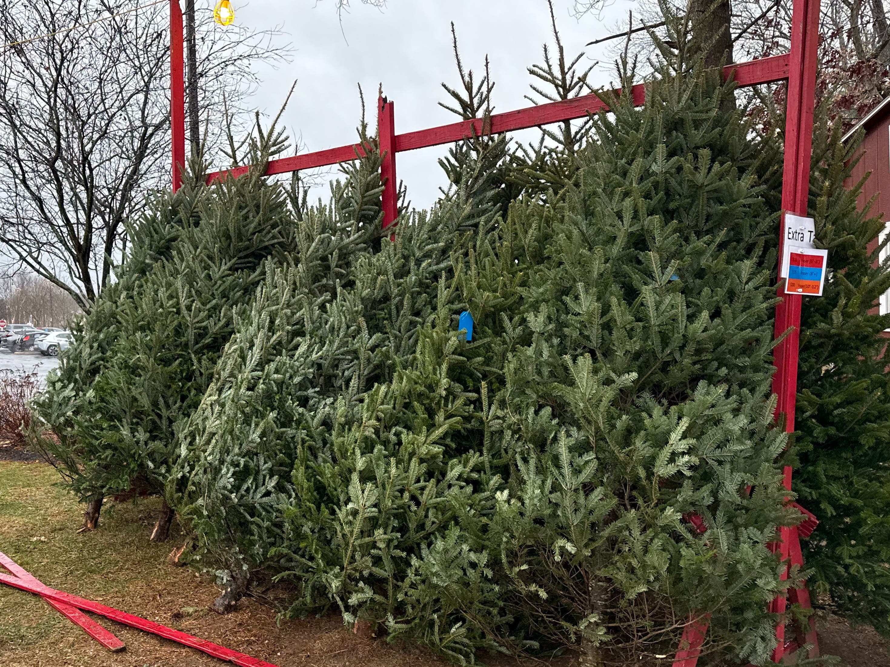 BSA Troop 274 Christmas Tree & Wreath Sales