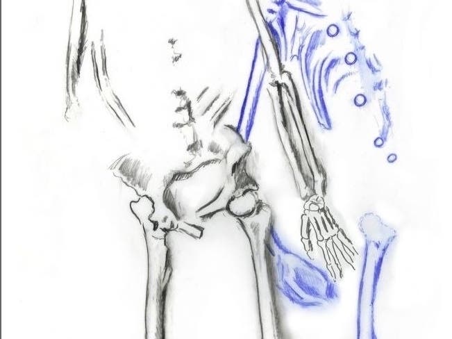 The first two skeletons uncovered by State Archaeologist Nicholas Bellantoni.