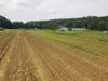 UMASS Field Station farm.