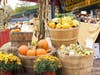 Autumn Timber Festival