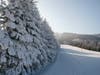 Blue Mountain Resort