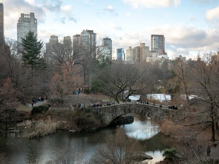View of NYC Leaves Residents Tiny Amount Of Green Space, Report Shows | New ...