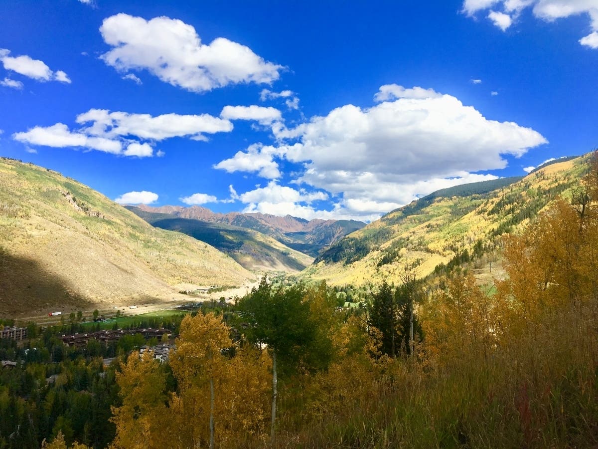 Fall foliage is nearing its peak in Vail.