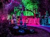 Denver Zoo Lights will run from Nov. 29 to Dec. 30.