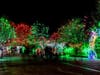Denver Zoo Lights will run from Nov. 29 to Dec. 30.
