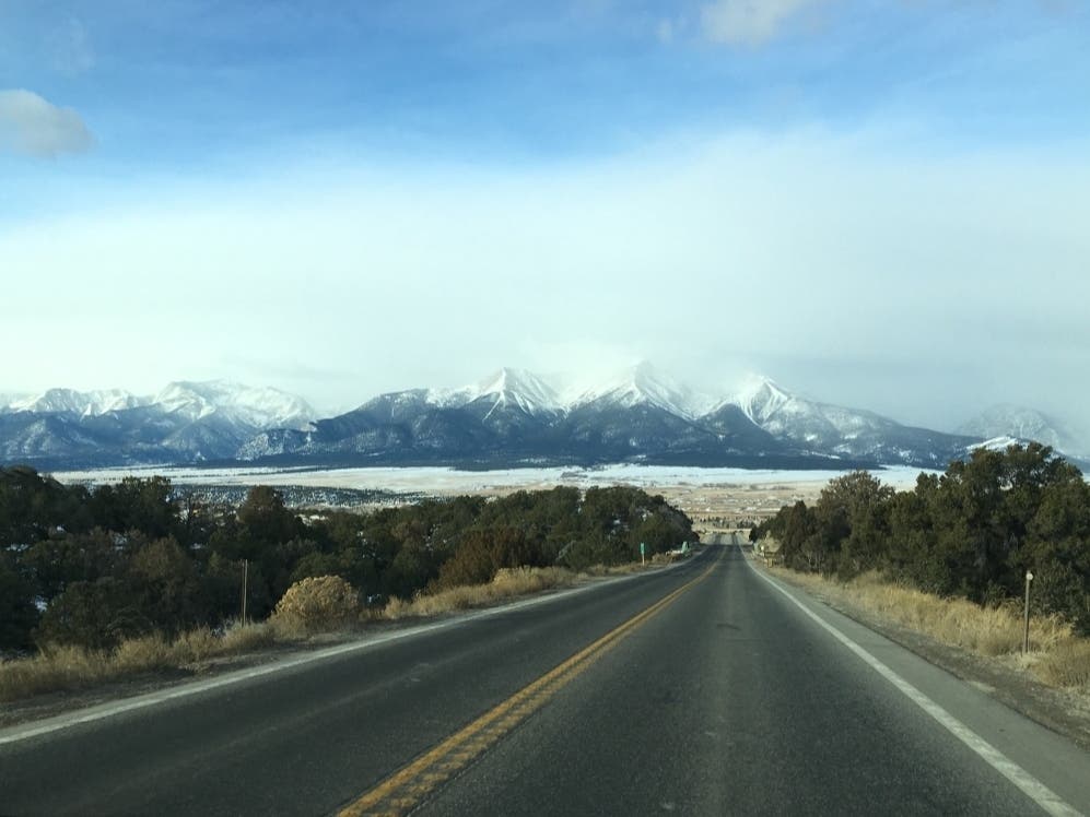 State Farm has released its latest report on animal collisions for each state.