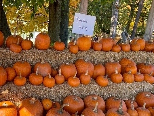 Coloradans have a few days left for pumpkin hunting before snowy weather arrives.