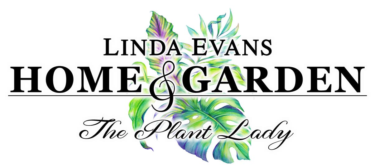 LINDA EVANS HOME AND GARDEN