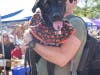 Dogs come out dressed in their finest for the dog-friendly festival.