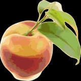 PeachTree Counseling