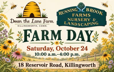 Farm Day at Down the Lane Farm