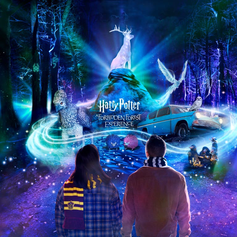 Harry Potter: A Forbidden Forest Experience 