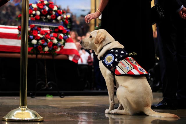 George H.W. Bush Funeral: See All Memorials And Tributes (Photos