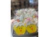 New Easter cookies. 