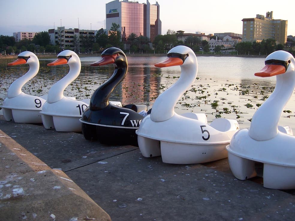 5-things-to-do-in-polk-county-this-weekend-lakeland-fl-patch