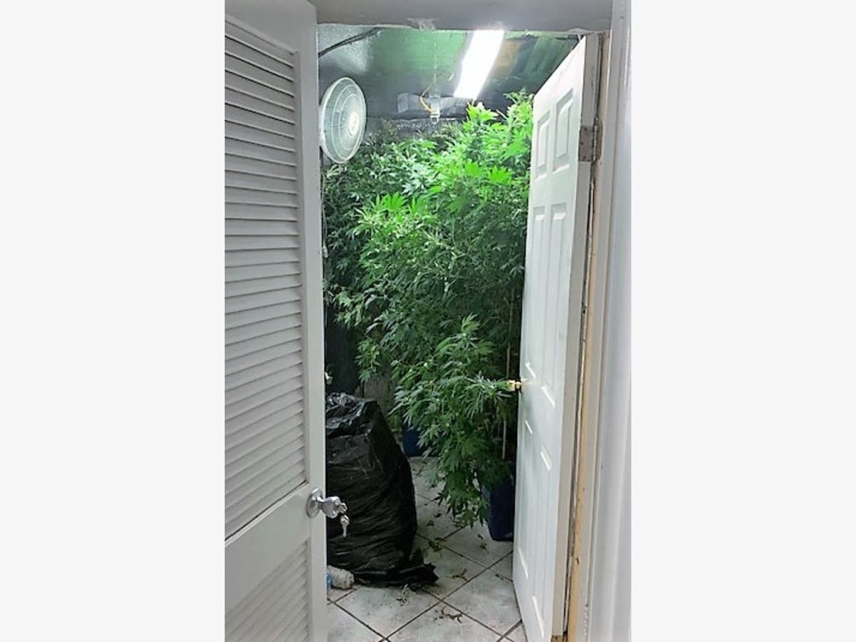 https://patch.com/img/cdn20/users/22976176/20190118/104827/styles/raw/public/processed_images/grow_house_2-1547826418-3603.jpg